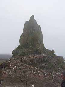 AitchoIsland2.jpg