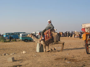 egypt1.jpg