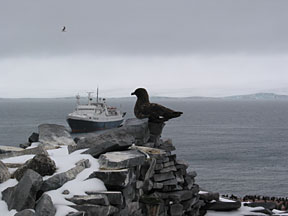 pauletskuahut.jpg