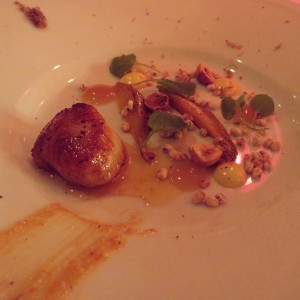 GrazeScallop