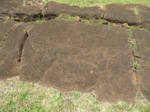 PapaVakaEasterIsland