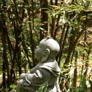 BuddhaBamboo1