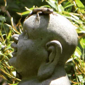 BuddhaBamboo2