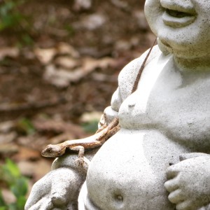 BuddhaBamboo3