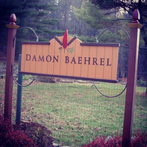 DamonBaehrelSign